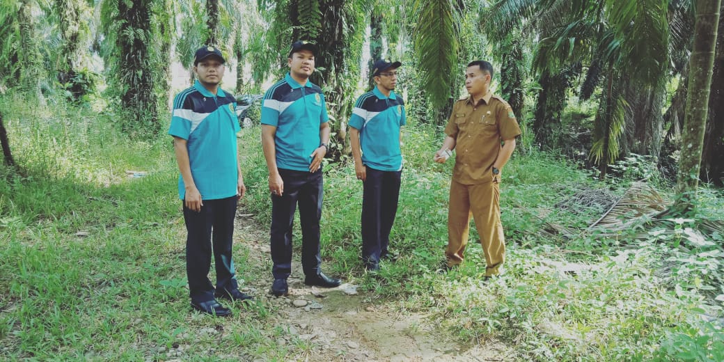 calon tanah